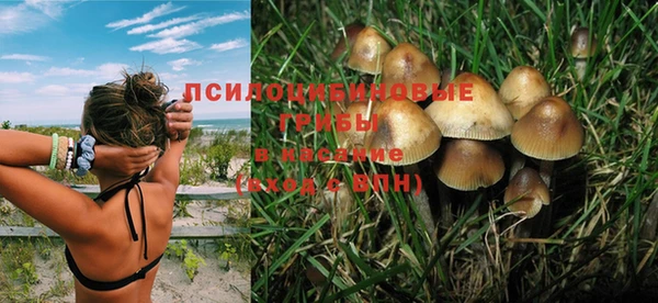 MDMA Premium VHQ Белокуриха